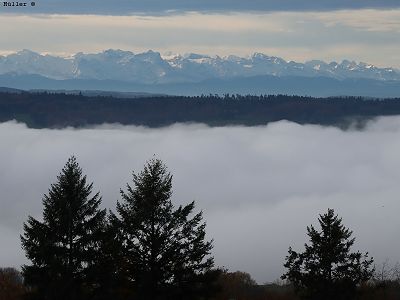 Bergsicht über dem Nebel